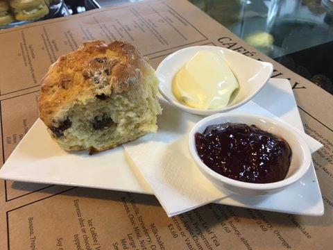 Basement Espresso - Accommodation Cooktown 0