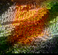 Wild Life Brewing Co.