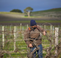 Kurtz Family Vineyards - Accommodation Cooktown