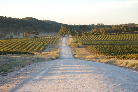 Stone Bridge Wines - Accommodation Cooktown 0