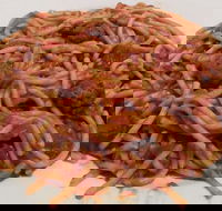 Cafe Clicquot - Accommodation Cooktown