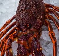 Lobster Shack Tasmania - Accommodation Cooktown