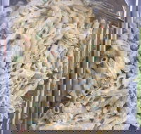 The Fabulous Fish  Chicken