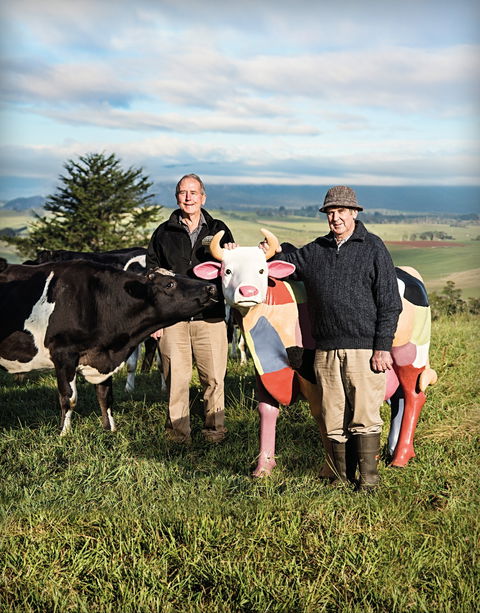 Ashgrove Farm Cheese - Accommodation Cooktown 1