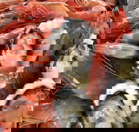 Mi Shells Seafood - Accommodation Cooktown