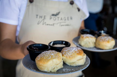 The Potager Mount Tomah - Accommodation Cooktown 1