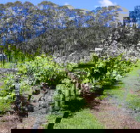 Woongooroo Estate Winery - Accommodation Cooktown