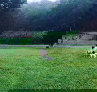 Goat Hill Farm - Accommodation Cooktown