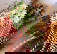 Maudy's Restaurant and Bar - Accommodation Cooktown