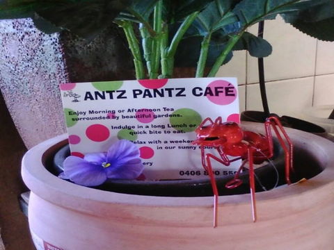 Antz Pantz Cafe - Accommodation Cooktown 0