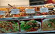 Blossom Lotus Thai Vegetarian - Haymarket - thumb 0