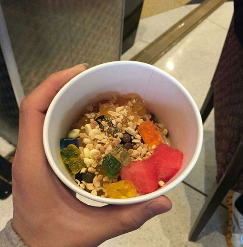 Yo-get-it - Oaklands Park - Accommodation Cooktown 0