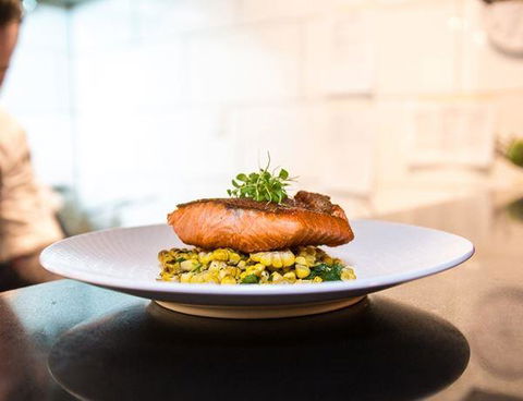 Frank And Blanco - Accommodation Cooktown 10