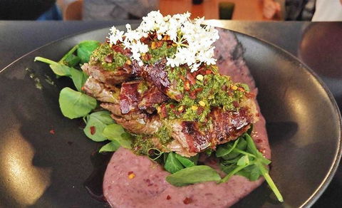 Frank And Blanco - Accommodation Cooktown 14