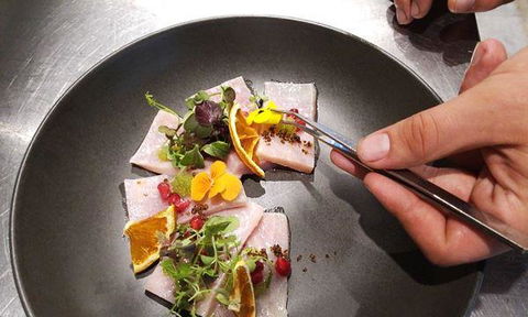 Frank And Blanco - Accommodation Cooktown 8