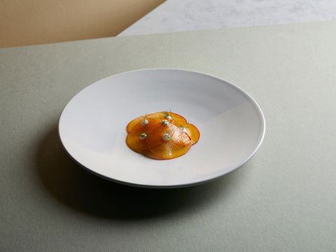 Aria Sydney - Accommodation Cooktown 2