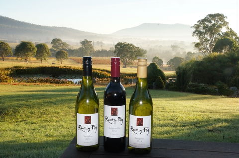 Rusty Fig Wines - Accommodation Cooktown 0