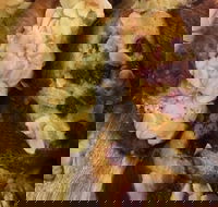 Silky Oak Espresso - Accommodation Cooktown