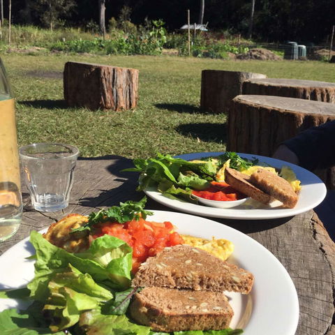 Sunspace Cafe - Accommodation Cooktown 0