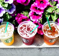 Starbucks - Manly - Accommodation Cooktown