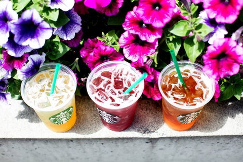 Starbucks - Manly - Accommodation Cooktown 0