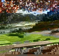 Deviation Road Winery - Accommodation Cooktown