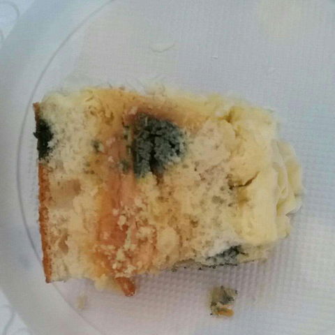 Central Patisseries - Accommodation Cooktown 0