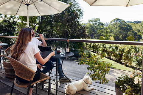 Main Ridge Estate - Accommodation Cooktown 2