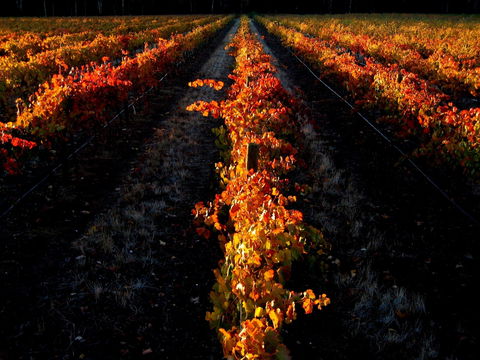 Sandhurst Ridge - Accommodation Cooktown 0