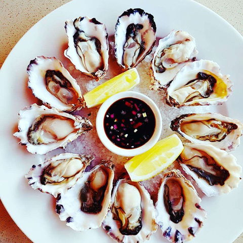 Shearwater Restaurant - Accommodation Cooktown 0