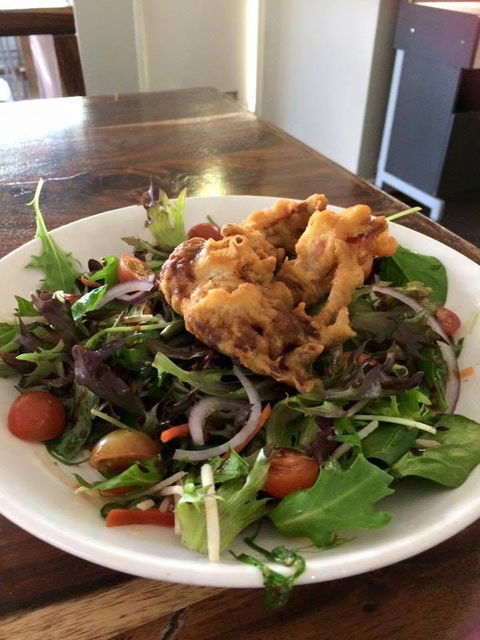 Sandy Cove Tavern - Accommodation Cooktown 0