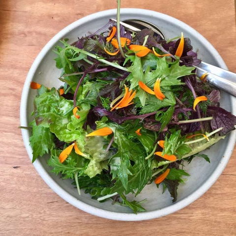 Yarri Restaurant And Bar - Accommodation Cooktown 0