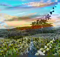 Between the Vines Cellar Door - Accommodation Cooktown