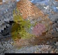 Up The Road - Accommodation Cooktown