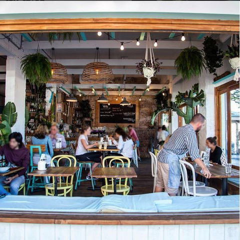 Little Jack Horner - Accommodation Cooktown 0