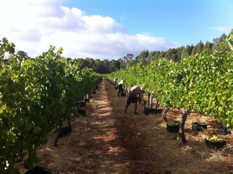 Ashbrook Estate - Accommodation Cooktown 1