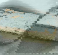 Bakehouse  Cafe - Accommodation Cooktown