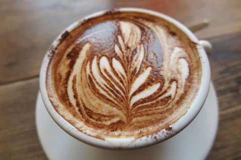 Bar 41 - Accommodation Cooktown 0