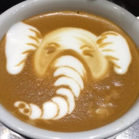 Cafenatics - Docklands - Accommodation Cooktown 0