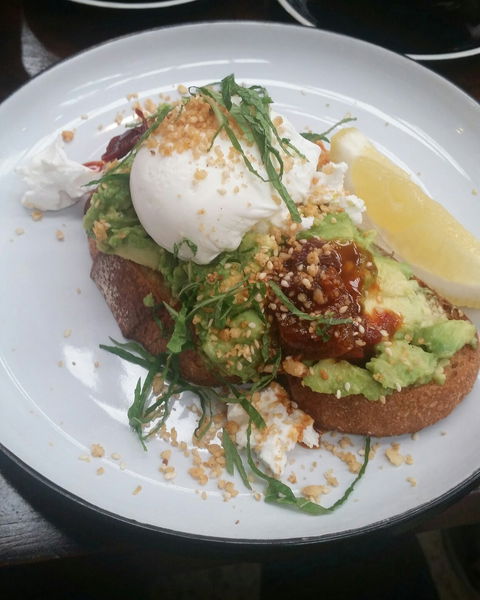 Republic Coffee Traders - Accommodation Cooktown 3