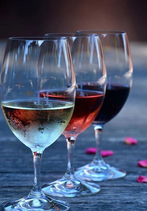 Vines Restaurant At Hollydene Estate - Accommodation Cooktown 8