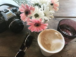 Yeppoon Restaurants and Takeaway Accommodation Cooktown Accommodation Cooktown