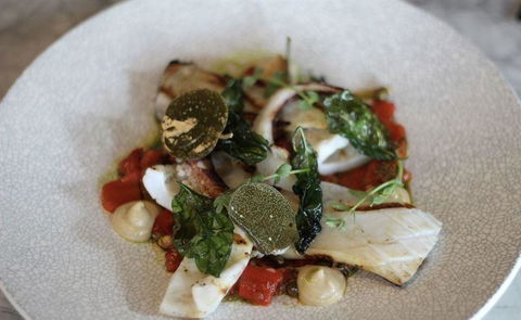 Allegra Dining - Accommodation Cooktown 15