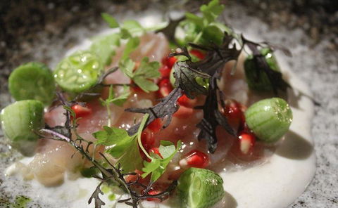 Allegra Dining - Accommodation Cooktown 1