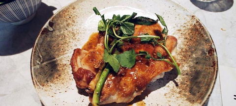 Allegra Dining - Accommodation Cooktown 6