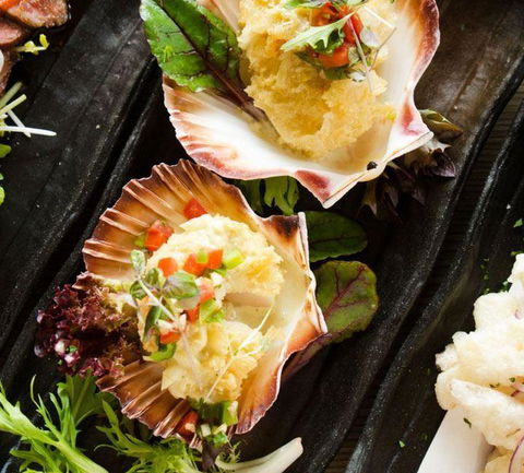 Aurora Ozone Hotel Restaurant - Accommodation Cooktown 11