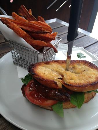 Red Dog On The Green - Accommodation Cooktown 0