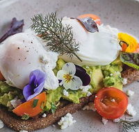 Armchair Collective - Accommodation Cooktown