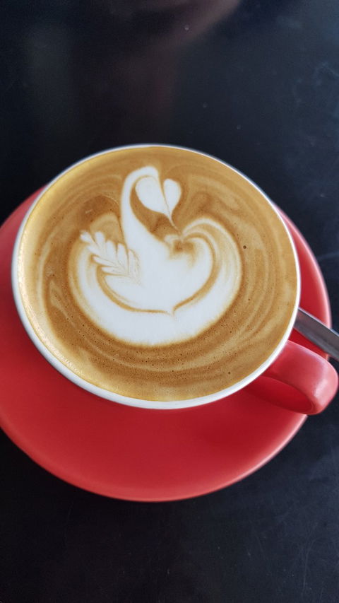 The Lansdowne Cafe - Accommodation Cooktown 3