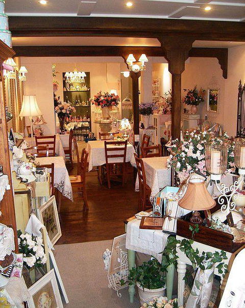 A Deja-Vu Experience - Accommodation Cooktown 3